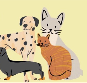 Perros y gatos ilustrados